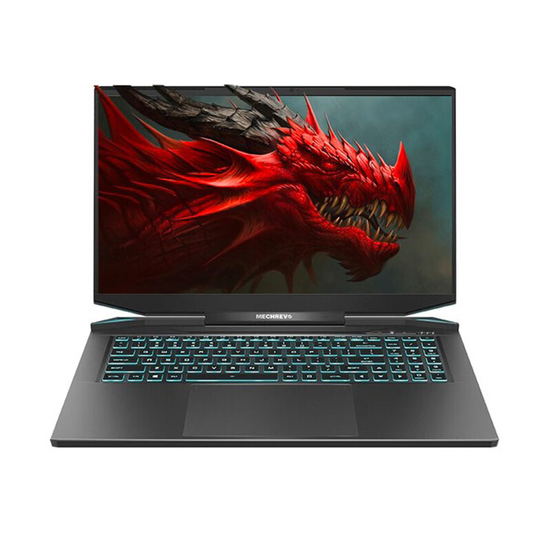 机械革命 全面屏十代酷睿游戏本