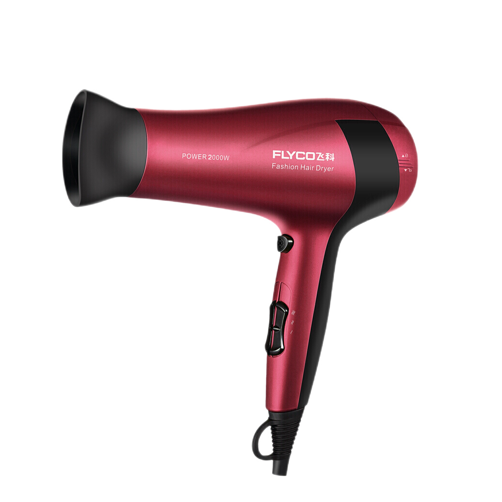 飞科 可拆卸进风口电吹风