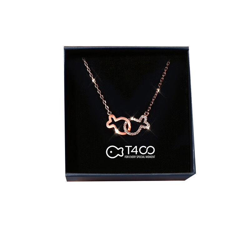 T400 森系冷淡风项链