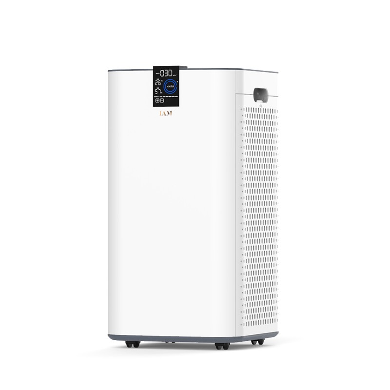 IAM 双侧进风空气净化器