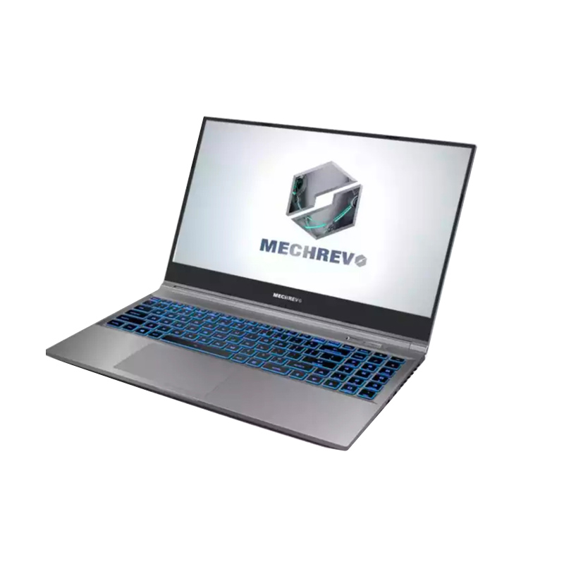 机械革命 17.3英寸游戏本