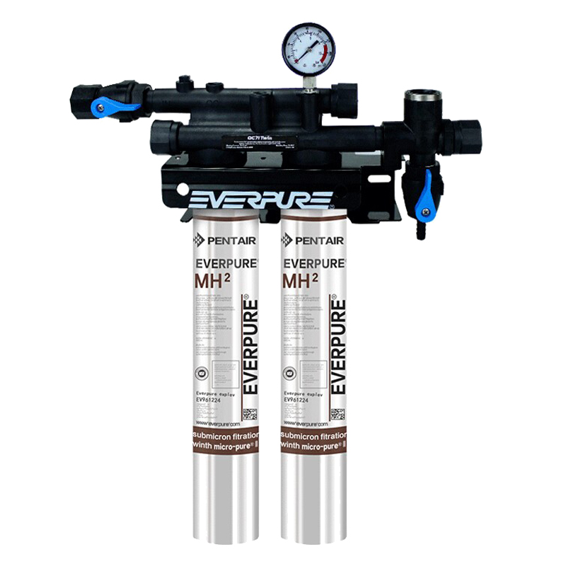 爱惠浦 商用双联无桶 净水器