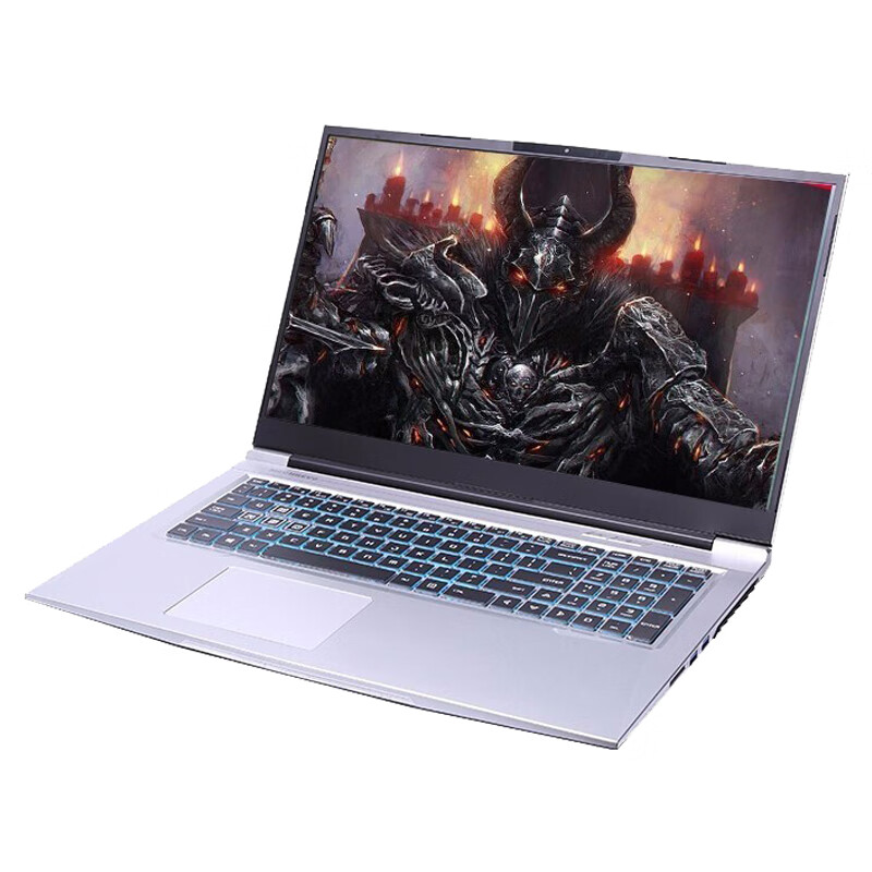 机械革命 高色域游戏本