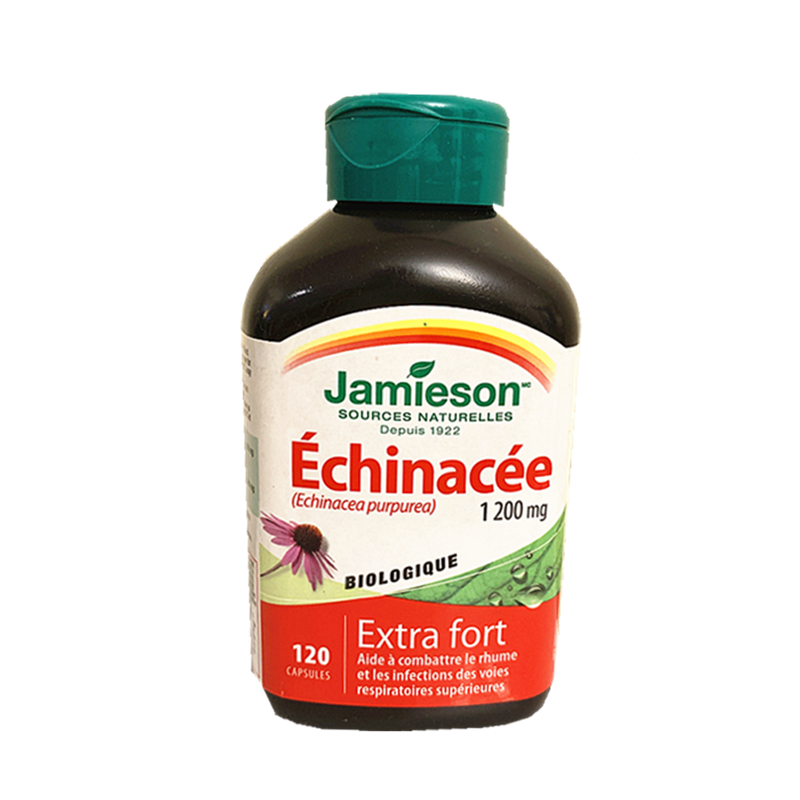 健美生 天然 紫锥菊精华