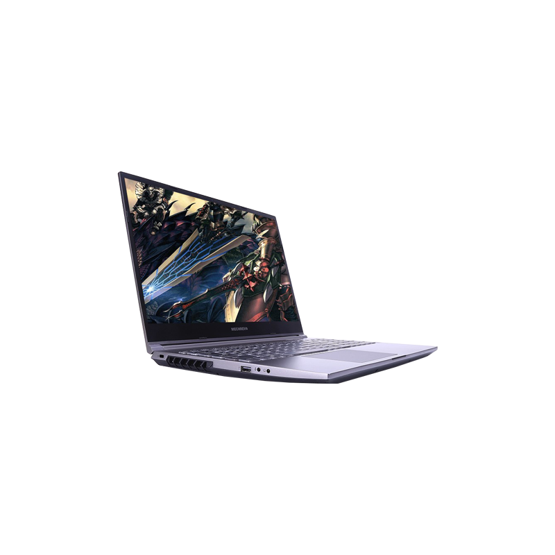 机械革命 双倍带宽 游戏本