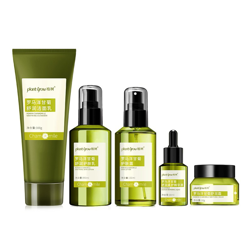 植树 洋甘菊舒缓套装