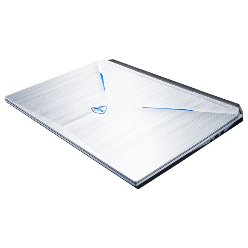 机械师 十代i7处理器 游戏本