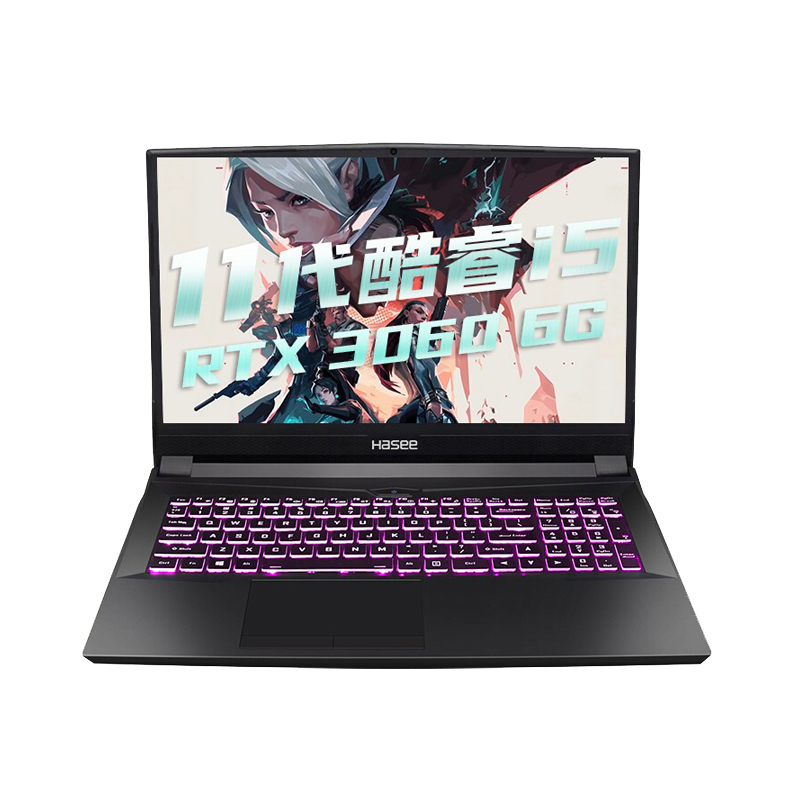 神舟 高色域独显游戏本