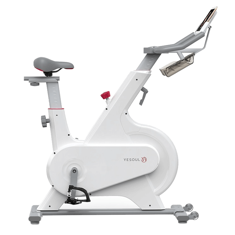 野小兽 皮带传动 动感单车