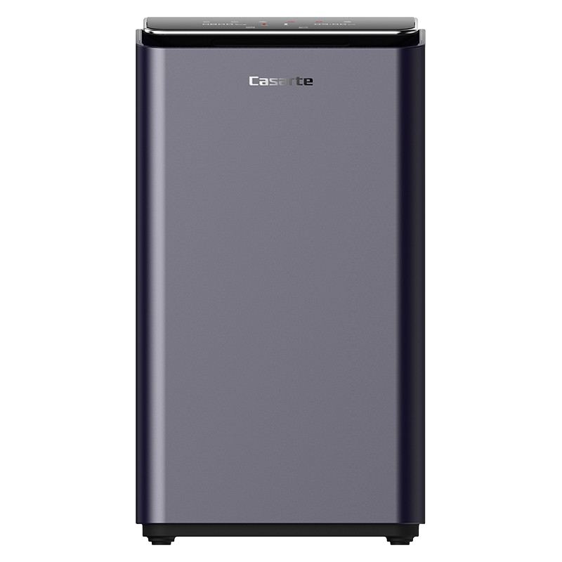 卡萨帝 双出水净水器