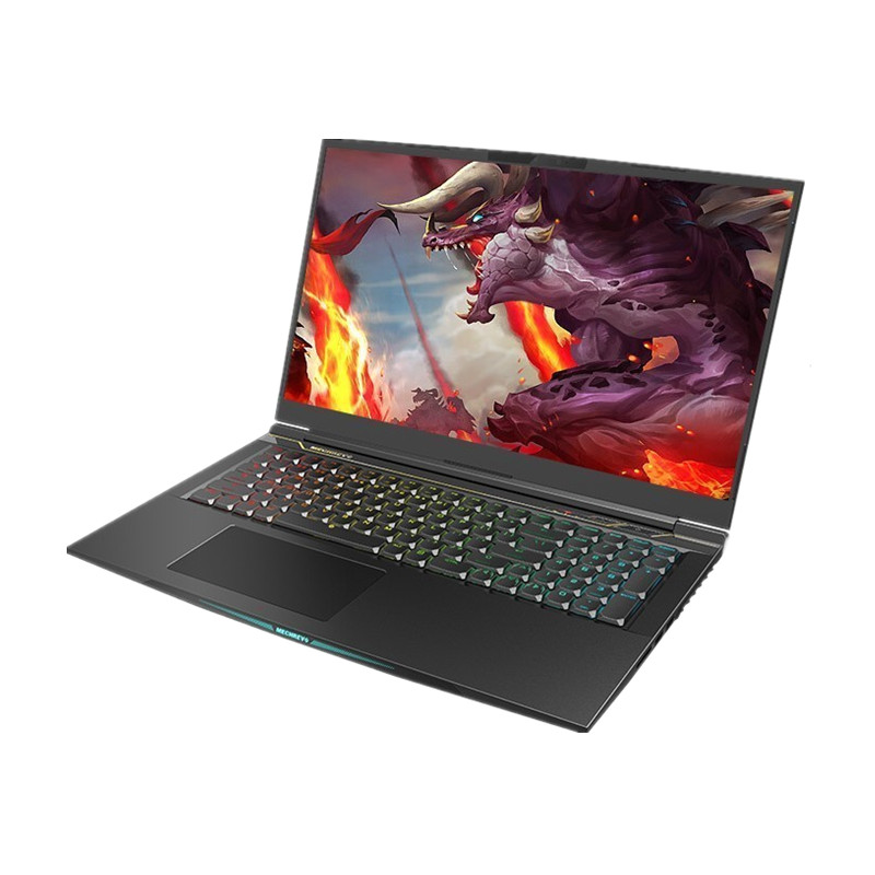 机械革命 高性能游戏本