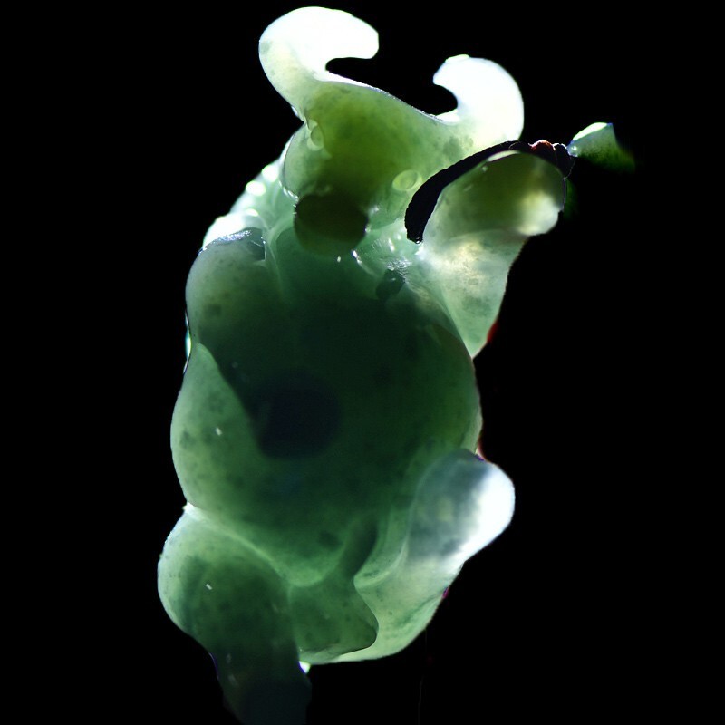 千载一玉 冰底飘阳翡翠吊坠