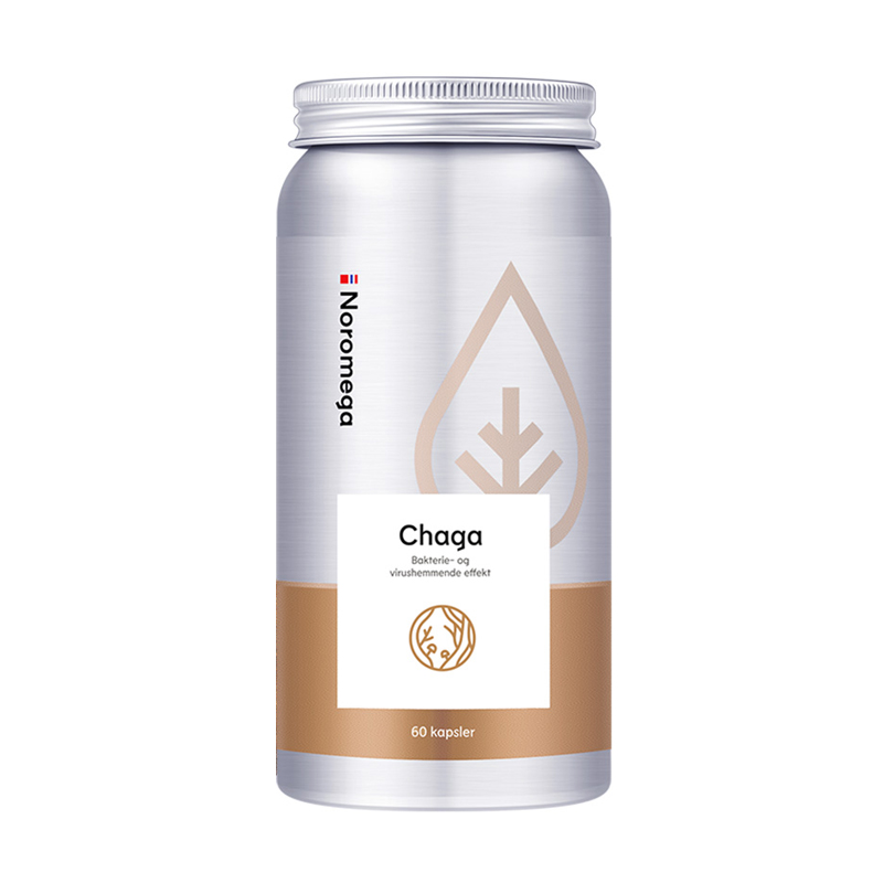 NM 挪威进口白桦茸胶囊