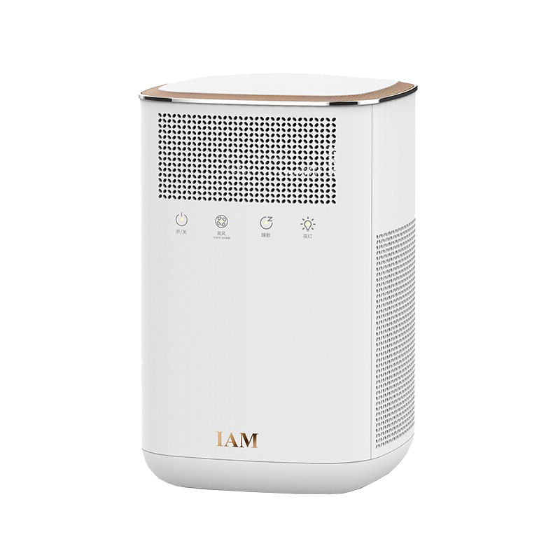 IAM 循环进风 空气净化器