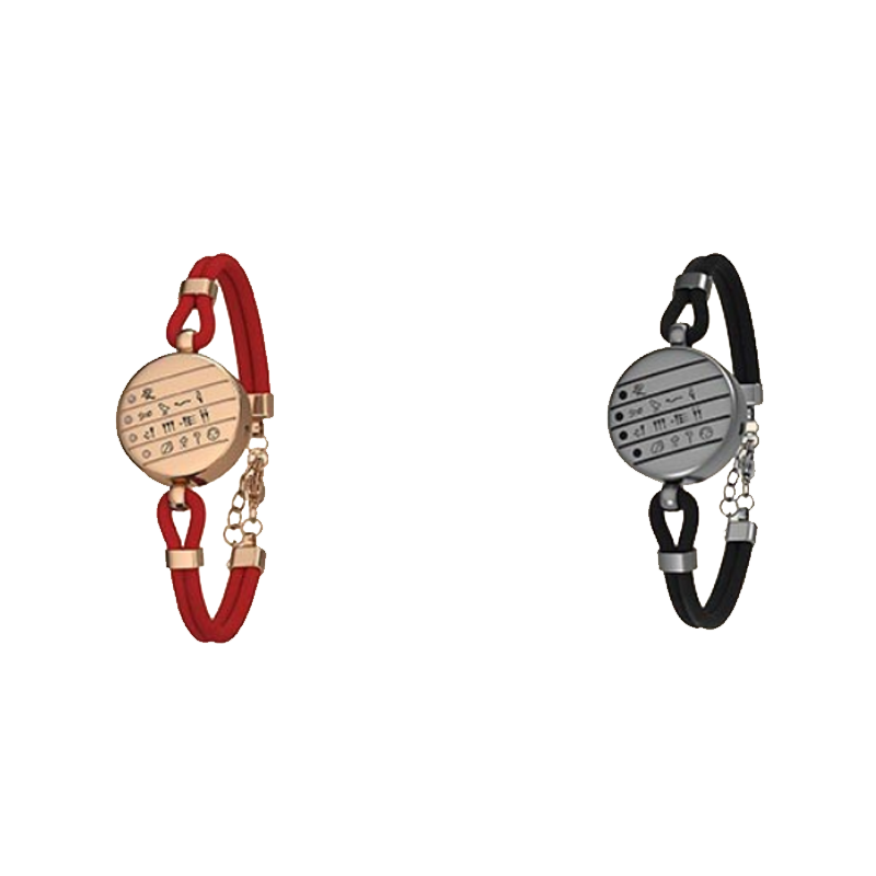 totwoo 智能 手链