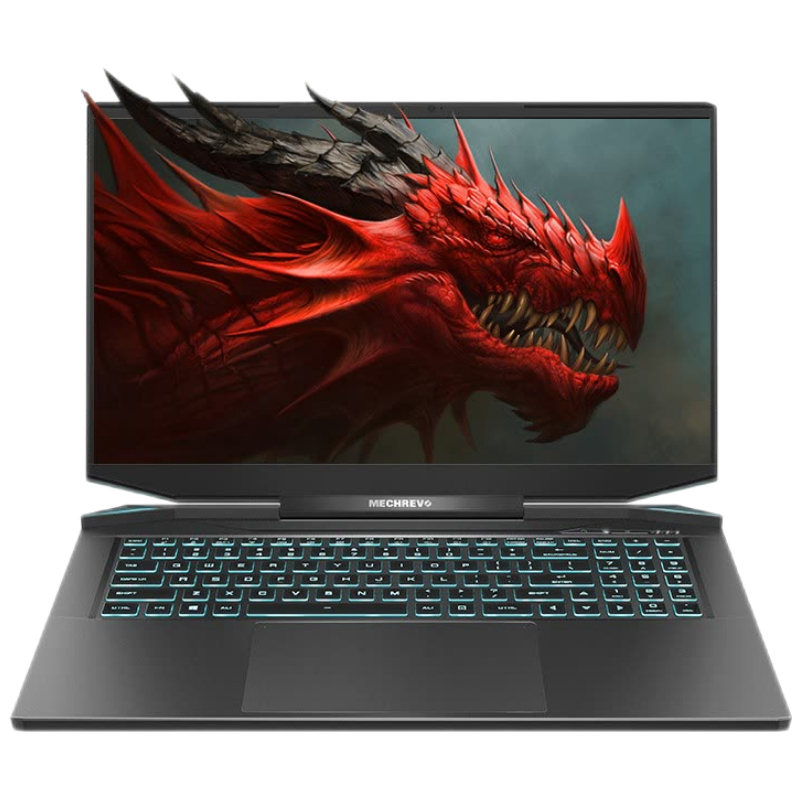 机械革命 17.3英寸游戏本