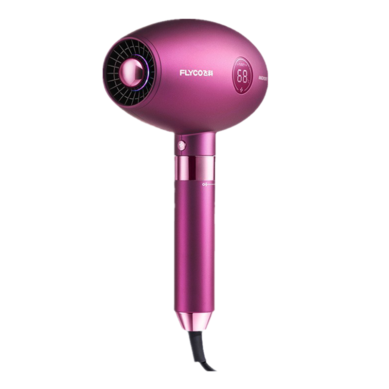 飞科 静音专业吹风机