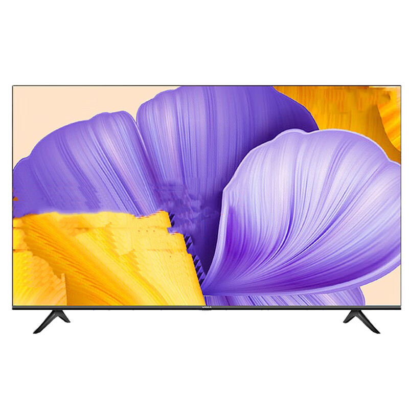 VIDAA 智慧屏电视机