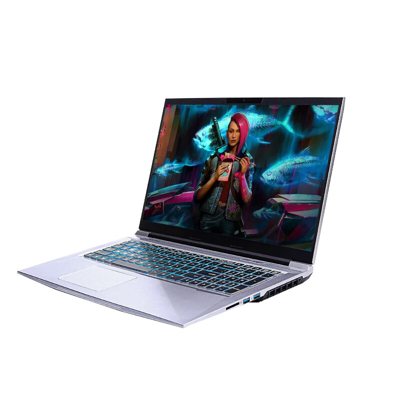 机械革命 锐龙R9 游戏本