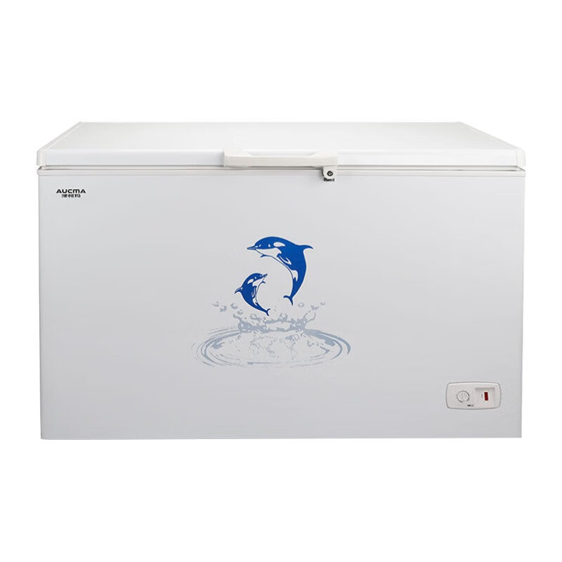 澳柯玛 安全门锁大冷冻力冷柜