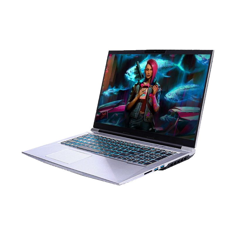 机械革命 丰富接口游戏本