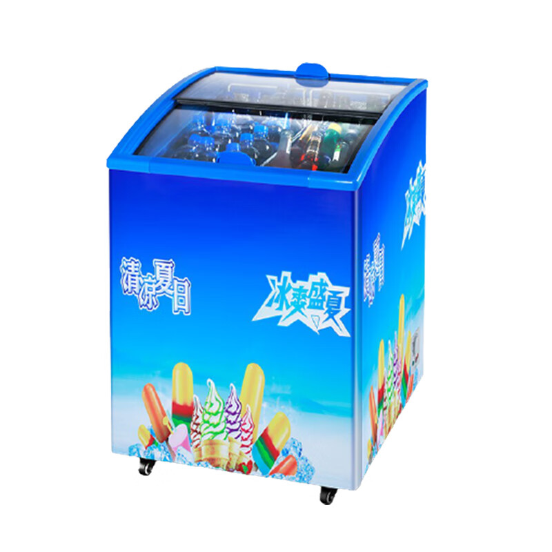 先科 大容量小冰柜