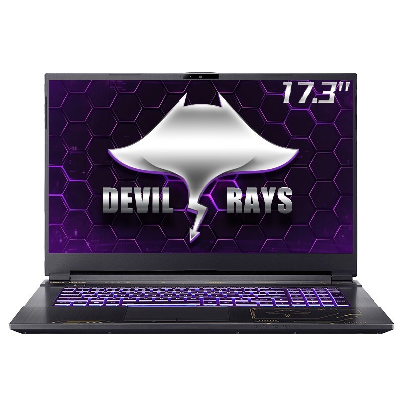 未来人类 光追显卡 游戏本