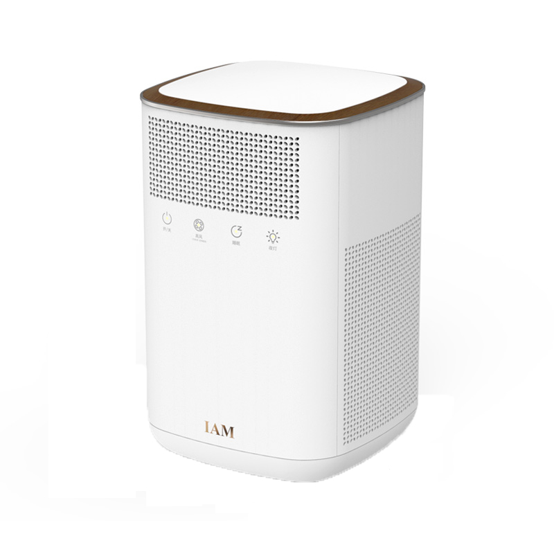 IAM 小型负离子空气净化器