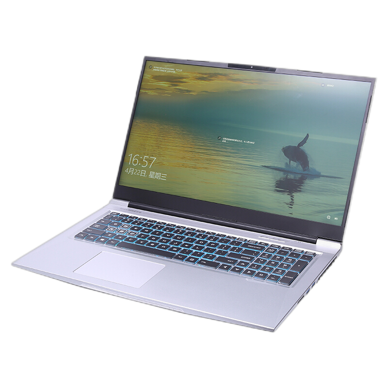 机械革命 电竞屏游戏本