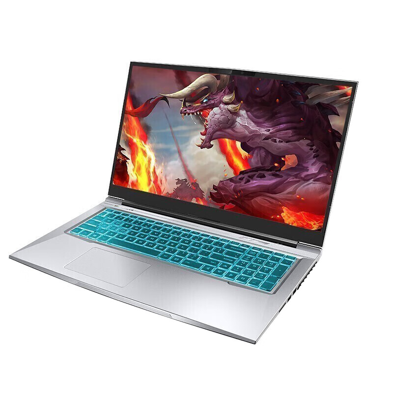 机械革命 大容量硬盘游戏本