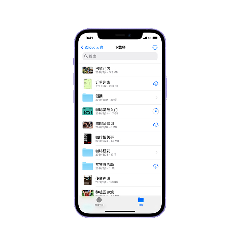 Apple 超视网膜屏 手机