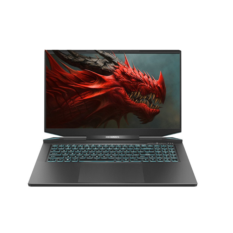 机械革命 独显直连 游戏本