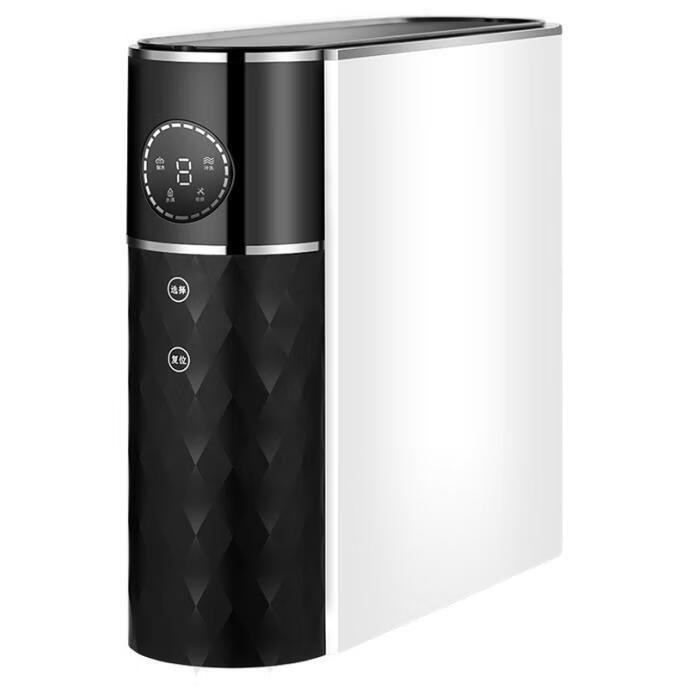 布瑞恩 双出水设计净水器