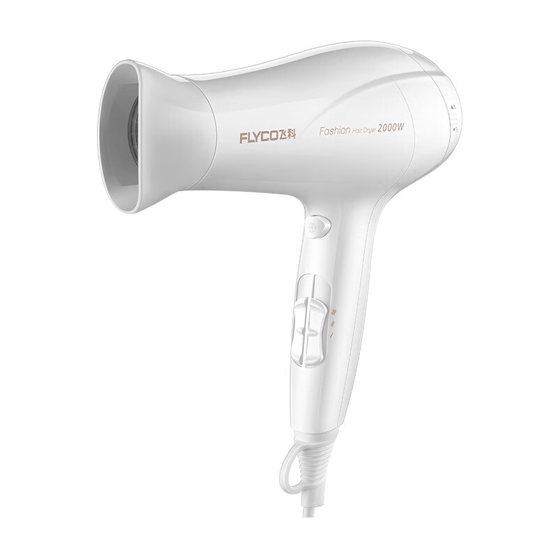 飞科 大功率电吹风