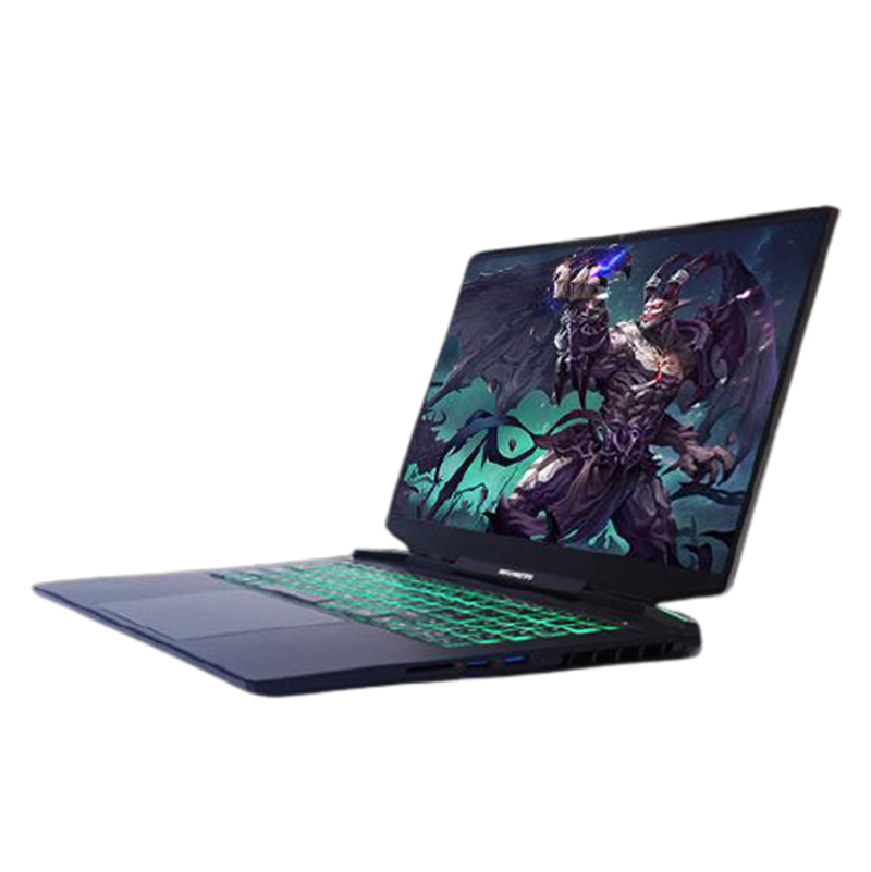 机械革命 电竞显卡 游戏本