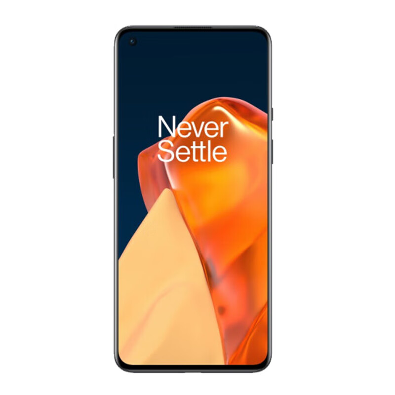 一加 大运存 手机