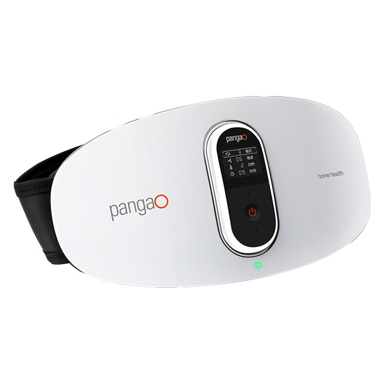 攀高 双脉冲腰部按摩器