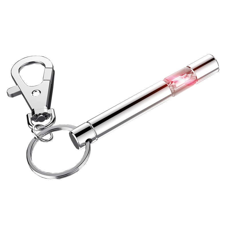 ESCASE 消除静电钥匙扣