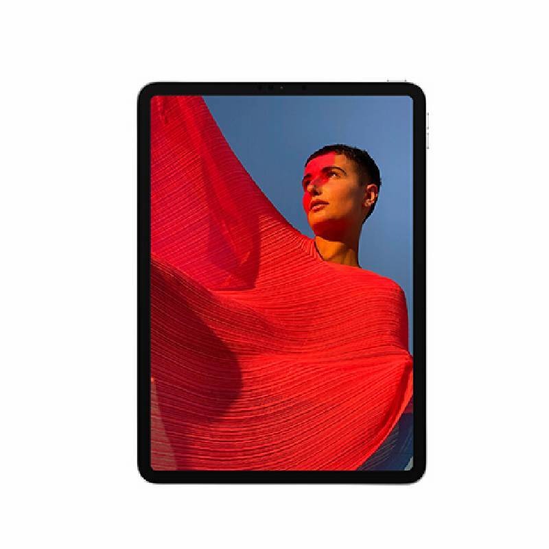 Apple 视网膜 平板电脑