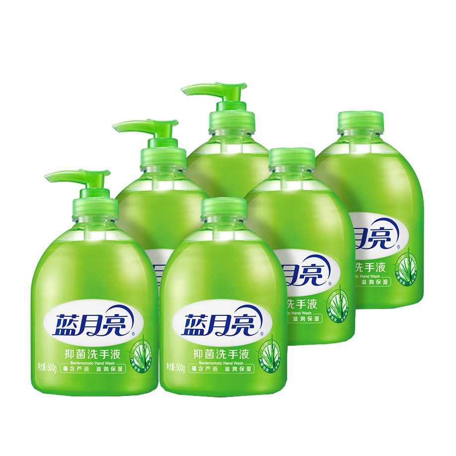 蓝月亮 芦荟抑菌套装洗手液