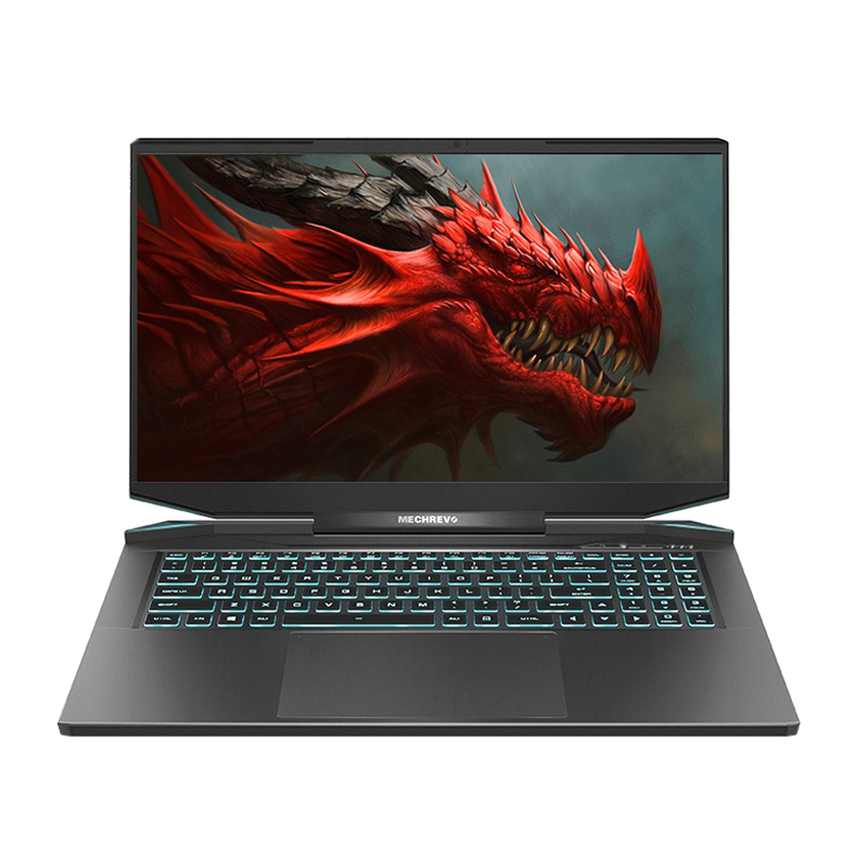 机械革命 双高速网络 游戏本