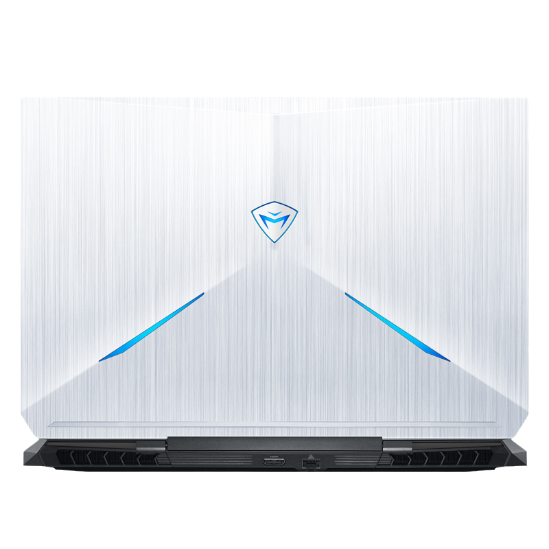 机械师 高频双通道内存游戏本