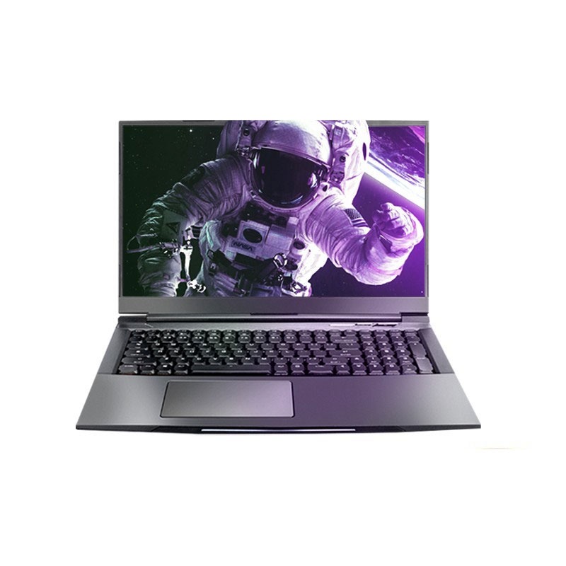 机械革命高速游戏本