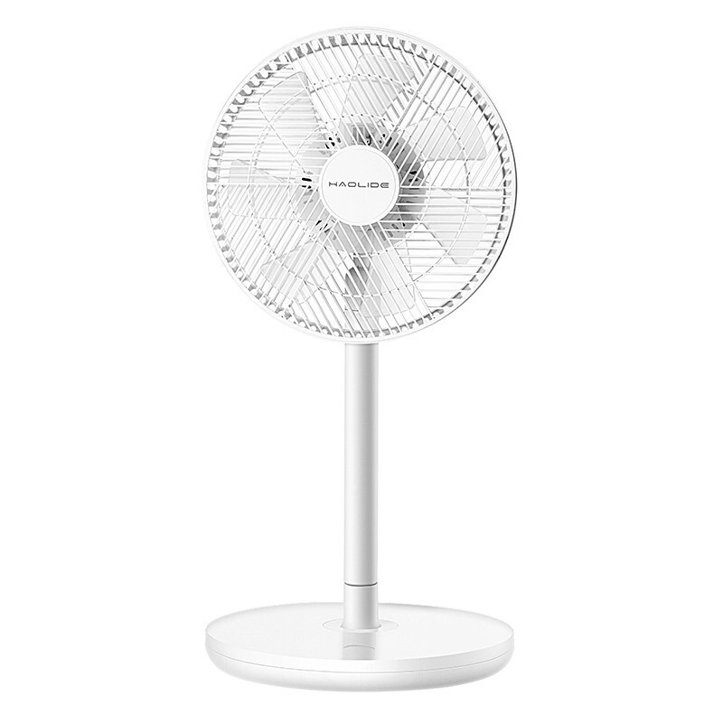 浩立德 翼形羽叶电风扇