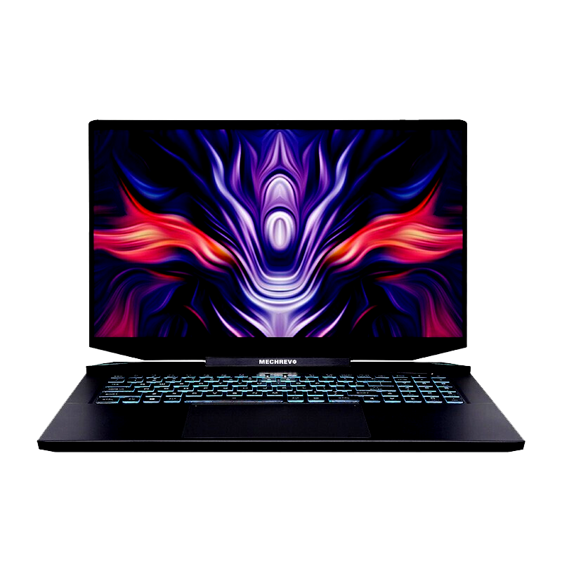 机械革命 电竞大屏游戏本