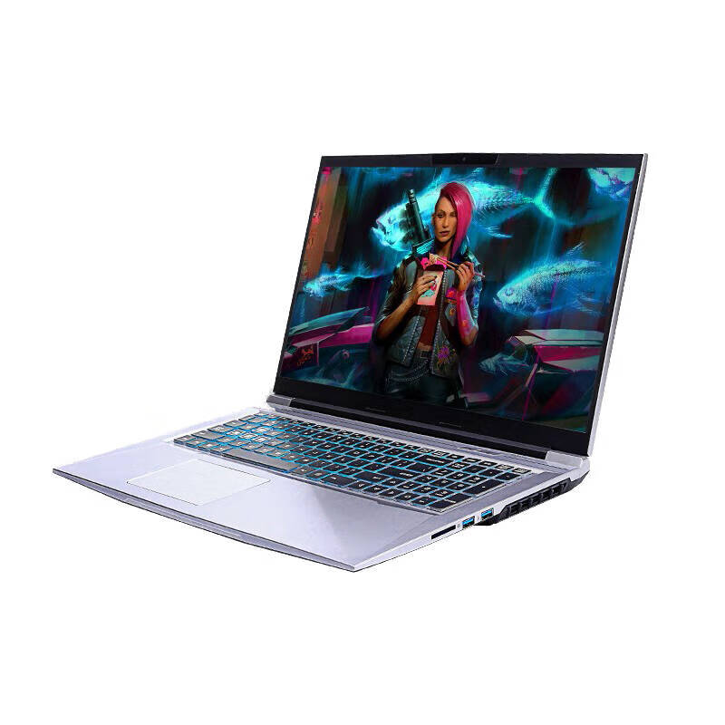 机械革命 AMD锐龙R9游戏本