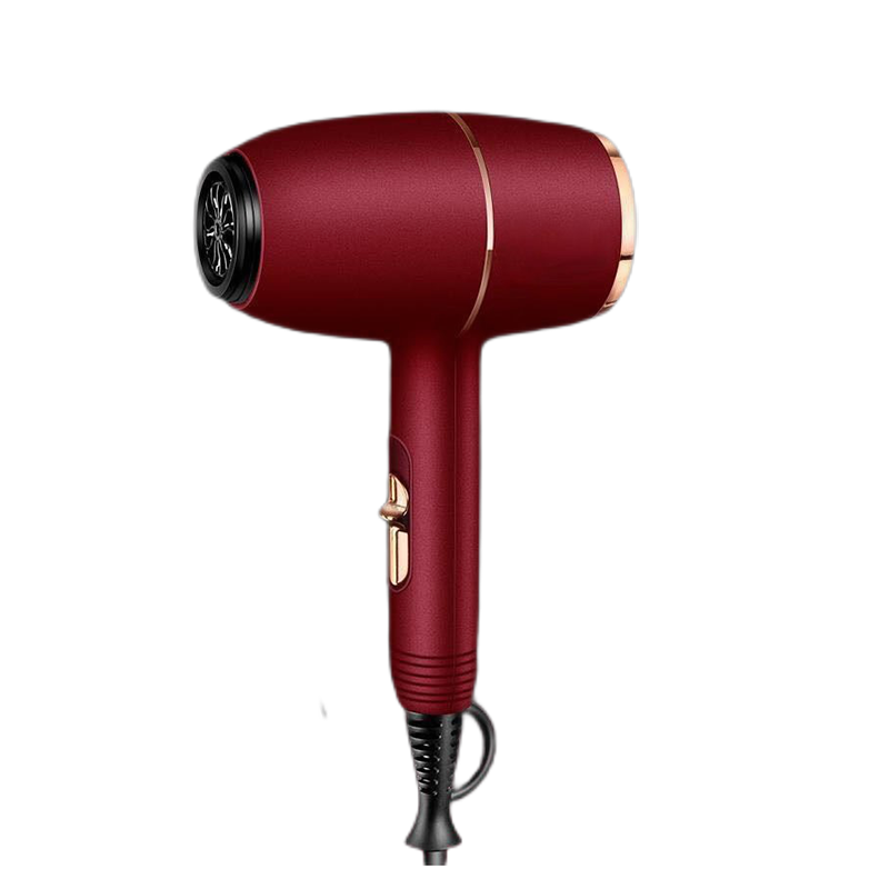 虎式飞跃 滋养秀发电吹风