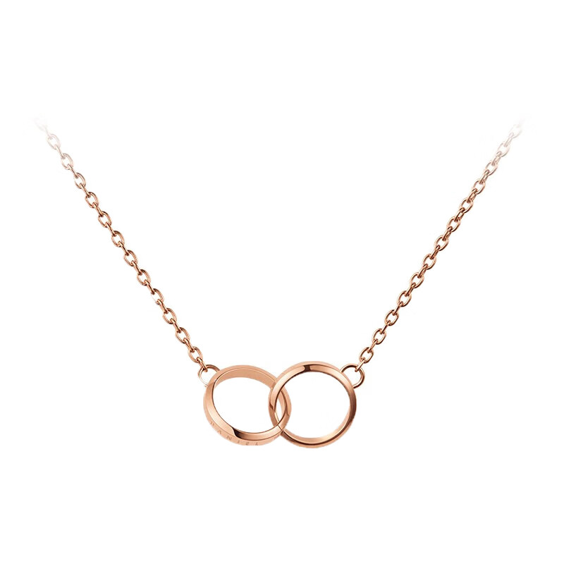 丹尼尔惠灵顿 小双环项链