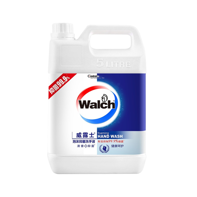 威露士 健康呵护双手洗手液