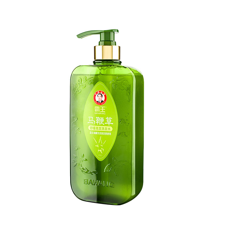 霸王 马鞭草控油沐浴露